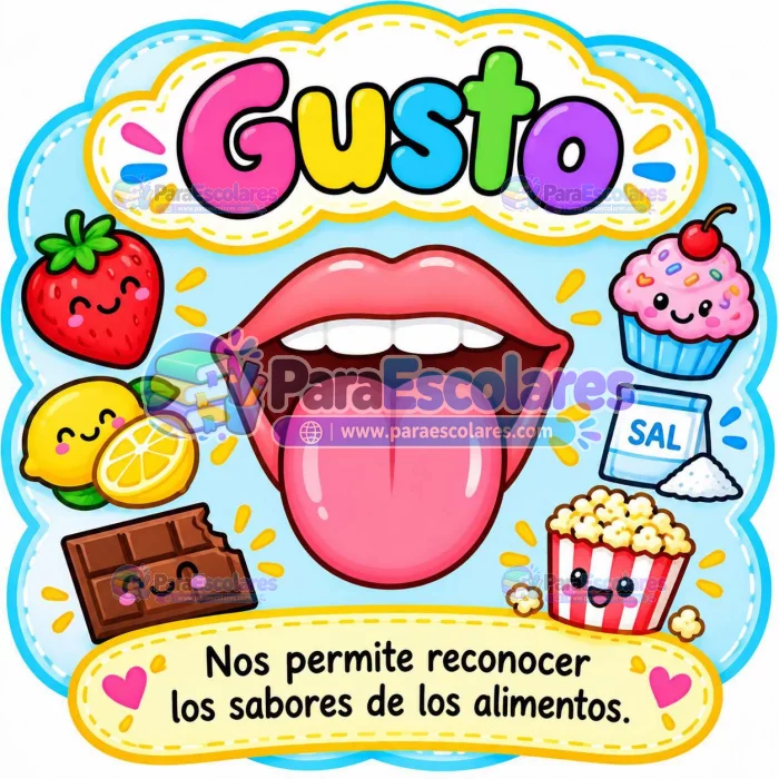 Los Sentidos El Gusto